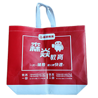 商洛LB37培训班广告袋